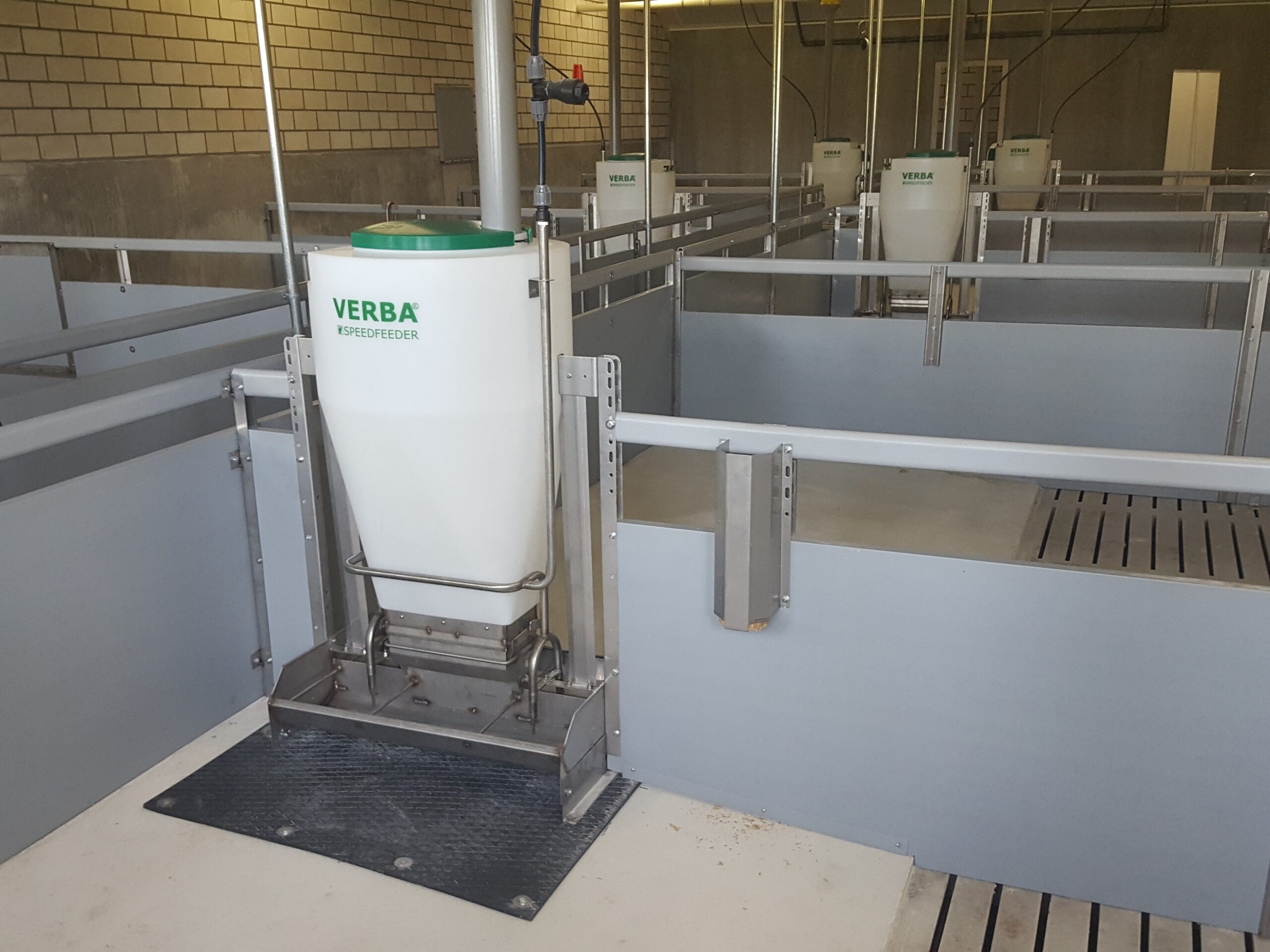 Speedfeeder 60 svinefoderkasse