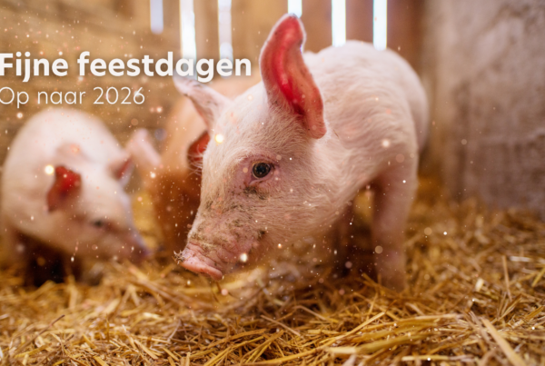 VERBA ønsker dig glædelige højtider!