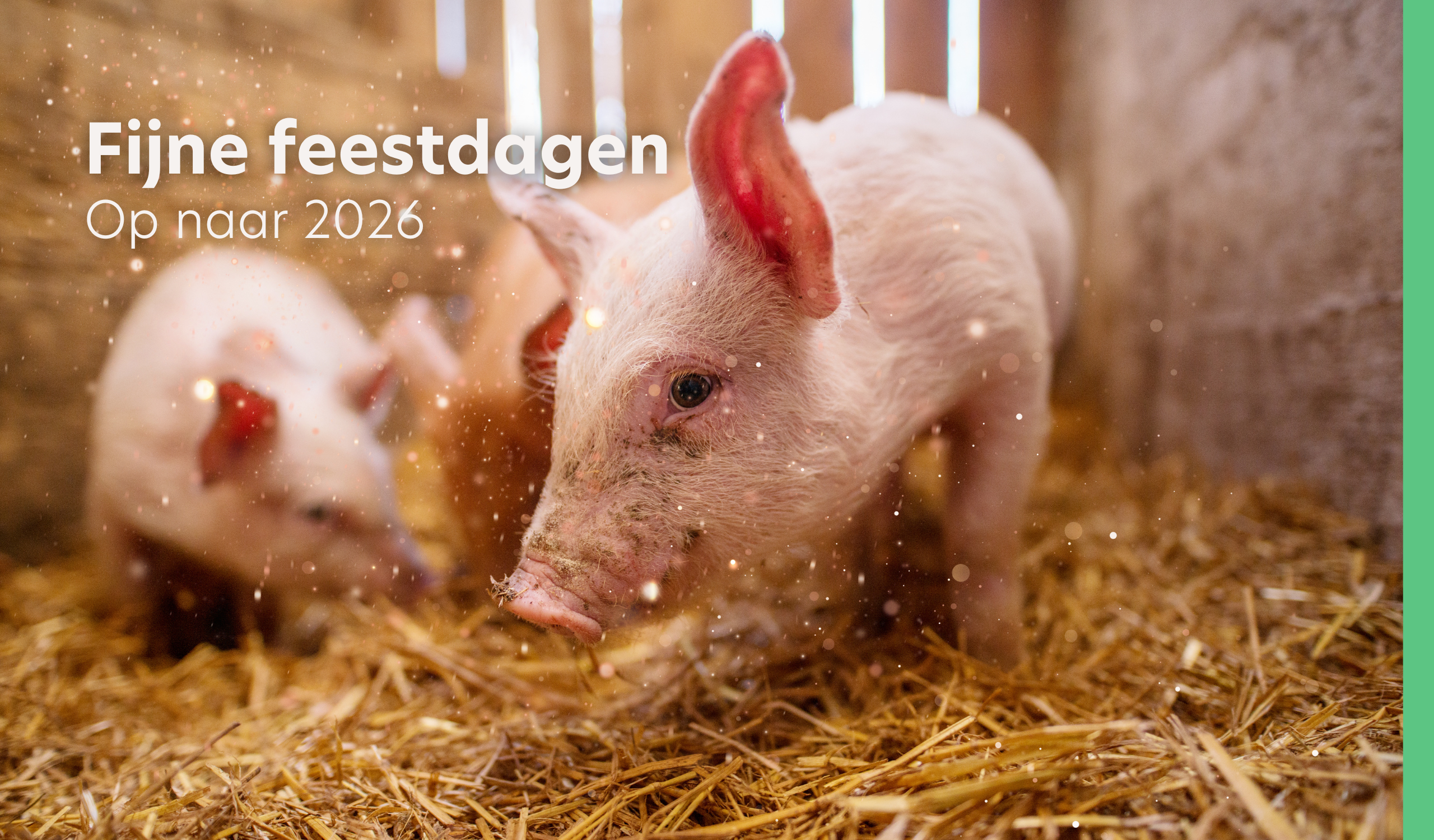 VERBA ønsker dig glædelige højtider!